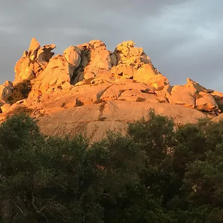 高木山农家乐 * 阿尔扎凯纳