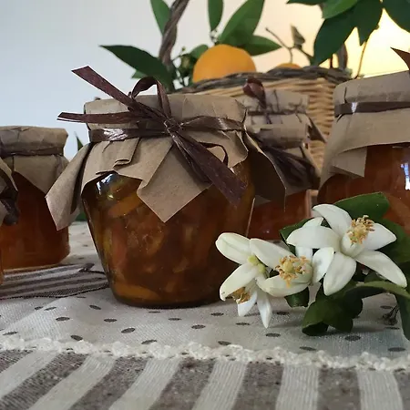 Monti Di Jogliu *