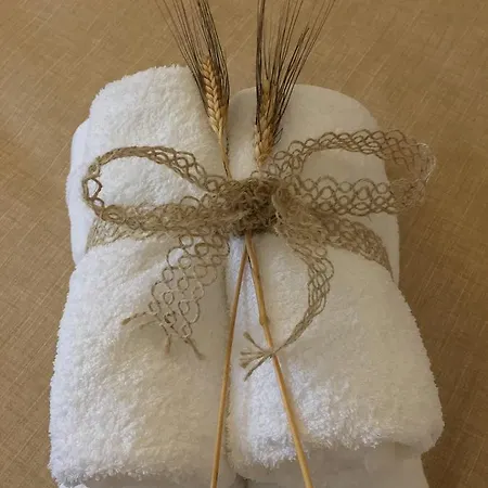 高木山农家乐 农家乐 *